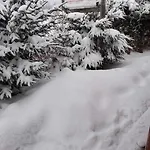 Na Pograniczu W Górach Apartamento Lasowka