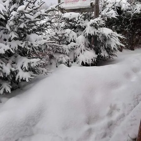 Na Pograniczu W Gorach Appartement Lasowka