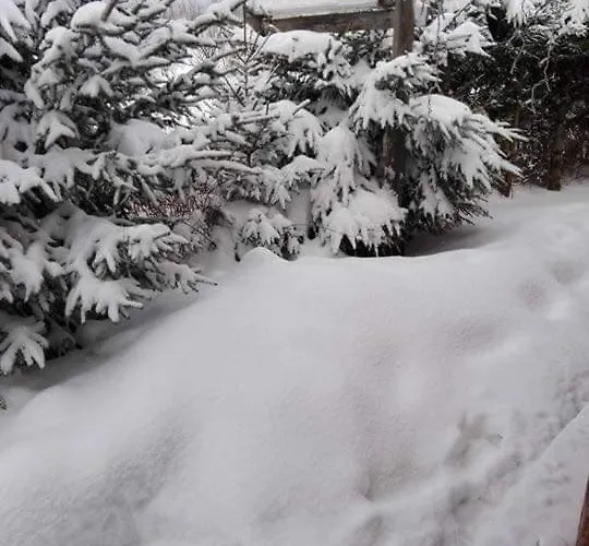 Na Pograniczu W Gorach Διαμέρισμα Lasowka